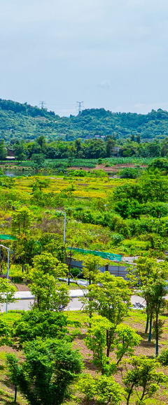 suncitygroup̫š(й)ҳ¼